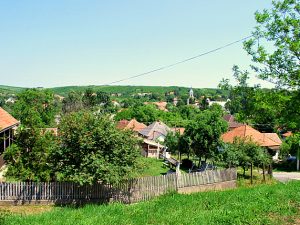 huis kopen hongarije néni ház