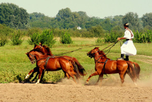 regio poesta tiszameer 01