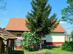 Huis kopen bij het Balatonmeer