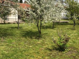 Het Grutto huis in Hongarije kopen