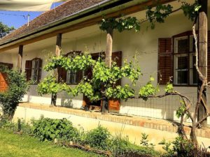 Vakantiehuis Hongarije Authentic Hungarian Farmhouse Feked